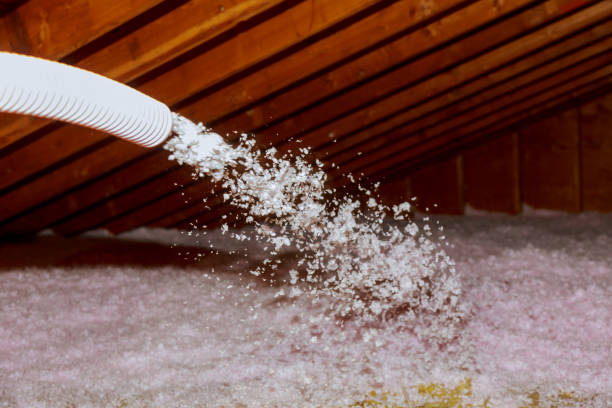 Best Cellulose Insulation in Robbins, NC