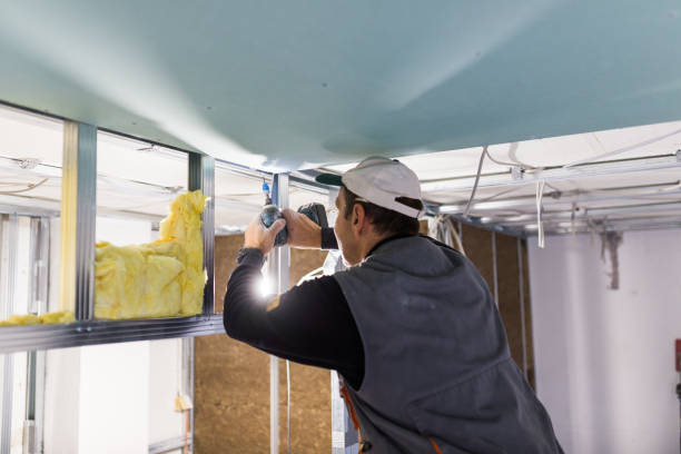 Best Eco-Friendly Insulation in Robbins, NC